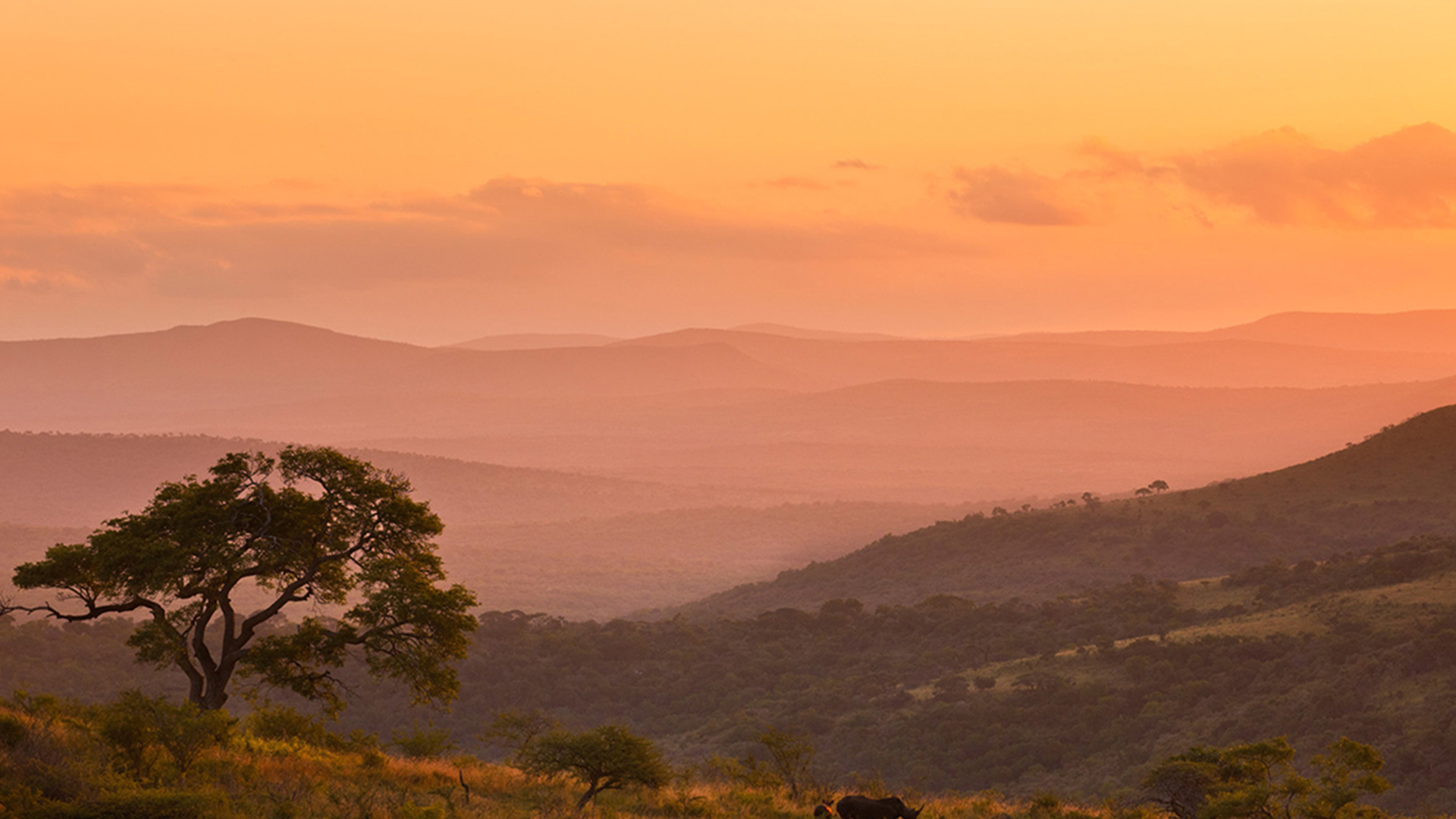 Прогулка по дикой природе