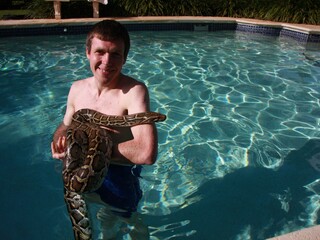 Анатомия крупнейших животных