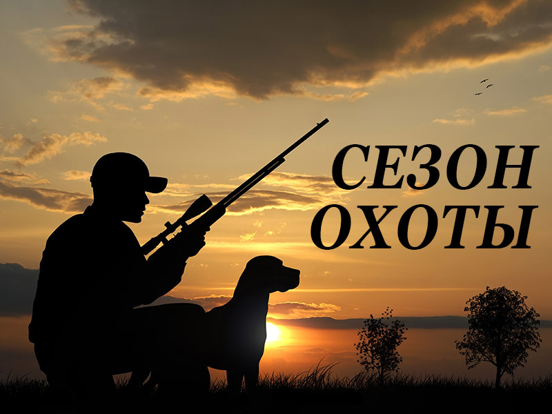 Сезон охоты