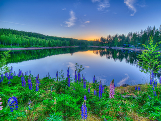 Миллион вопросов о природе