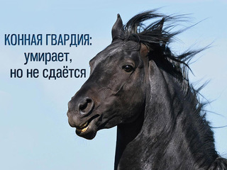 Конная гвардия: умирает, но не сдаётся