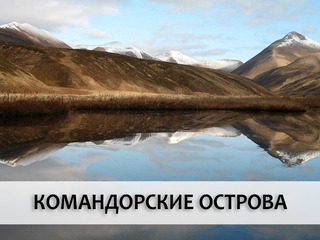 Командорские острова