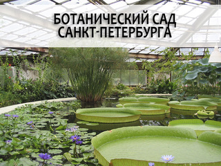 Ботанический сад Санкт-Петербурга