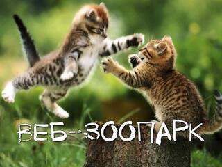Веб-зоопарк