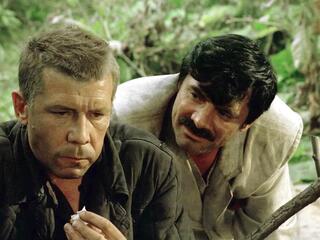 Перед расссветом