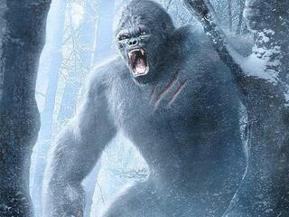 Охота на снежного человека