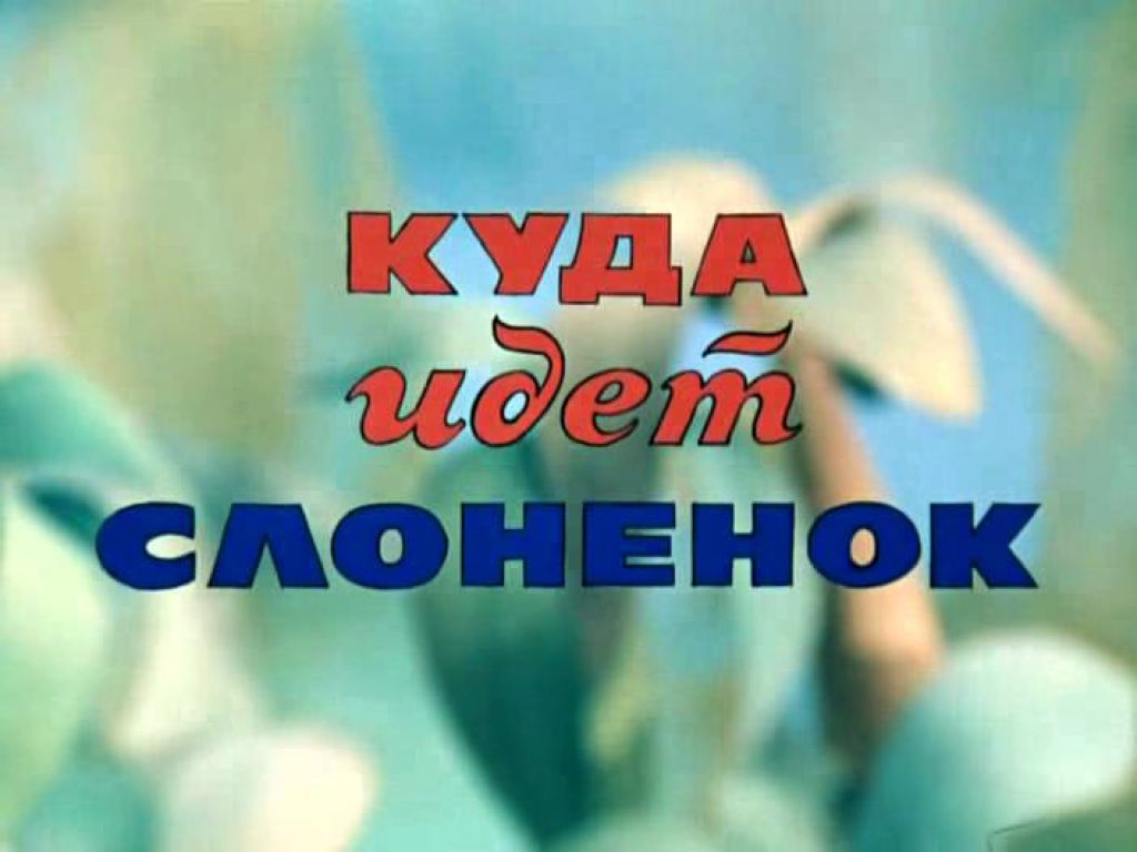 Куда идёт слонёнок?