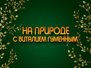 На природе с Виталием Гуменным