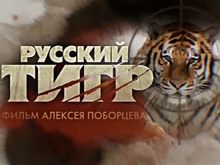 Русский тигр