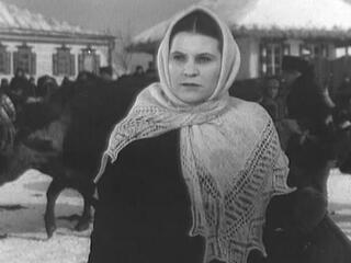 Поднятая целина