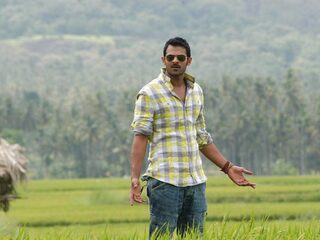 Мистер Совершенство