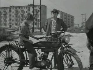 Xayr, Kabutarlar