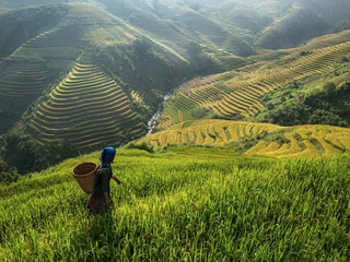 Вьетнам: путешествие в страну девяти драконов