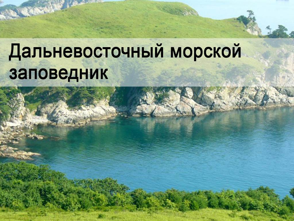 Дальневосточный морской заповедник