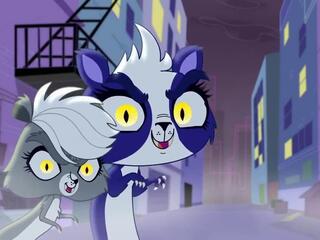 Маленький зоомагазин