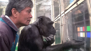 Что делает нас людьми?