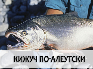 Кижуч по-алеутски