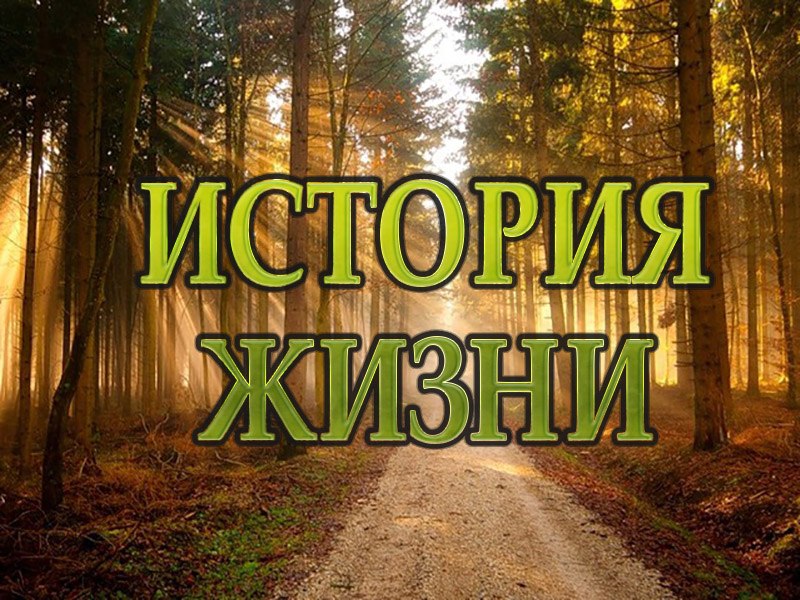 История жизни