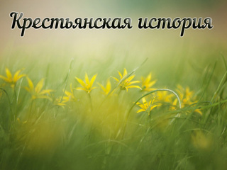 Крестьянская история