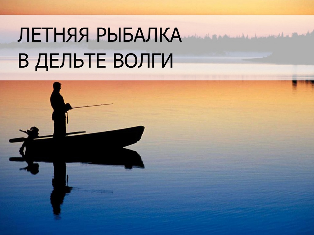 Летняя рыбалка в дельте Волги