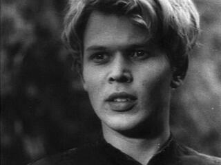 Как закалялась сталь