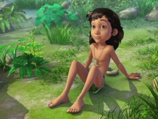 Книга джунглей. Сафари