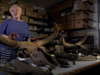 Доисторические монстры Гитлера