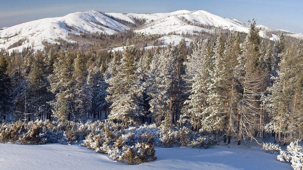 Хребет Крака