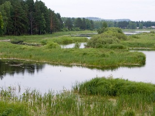 Река Усолка
