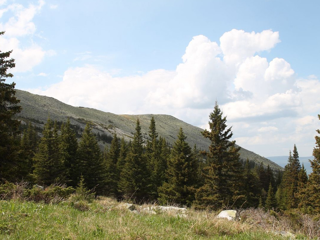На горе Иремель