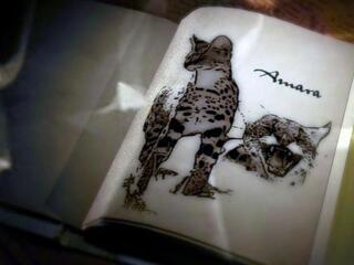 Загадочные животные острова Джао