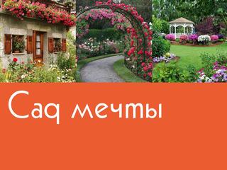 Сад мечты
