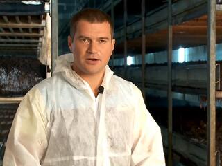 Десерт из шампиньонов
