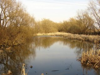 Река Бурминка