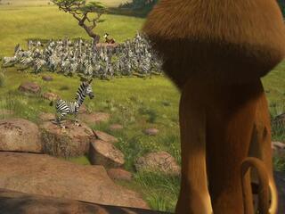 Мадагаскар: Любовная лихорадка