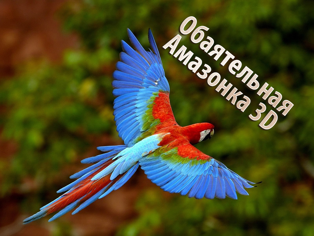 Обаятельная Амазонка 3D