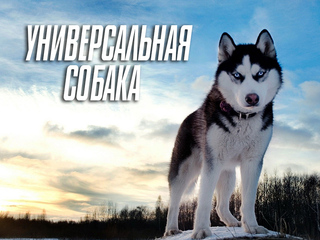 Универсальная собака