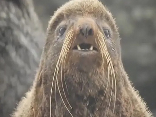 На краю земли Российской