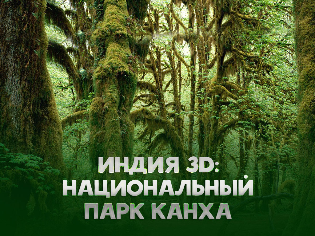 Индия 3D: Национальный парк Канха