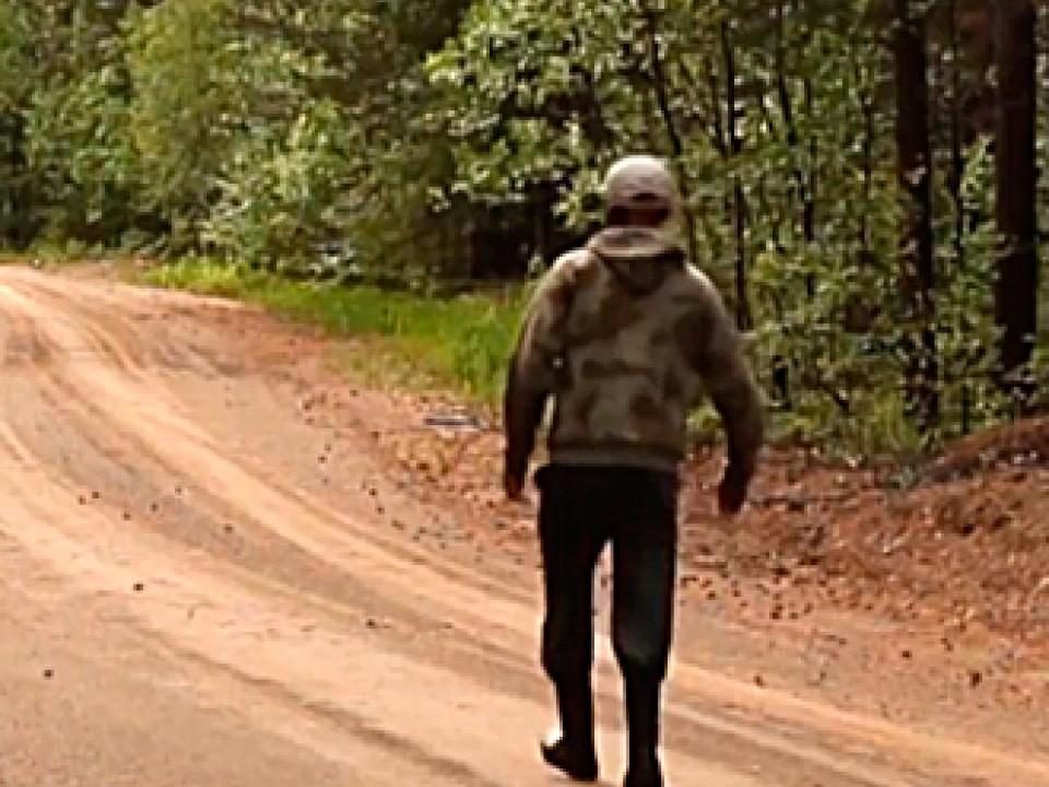 Звёздная пыль