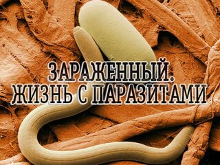 Зараженный. Жизнь с паразитами