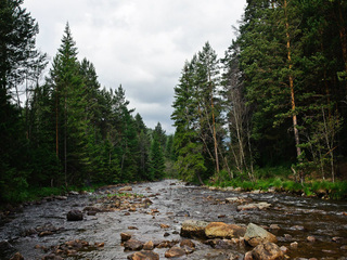 Река Тюлюк