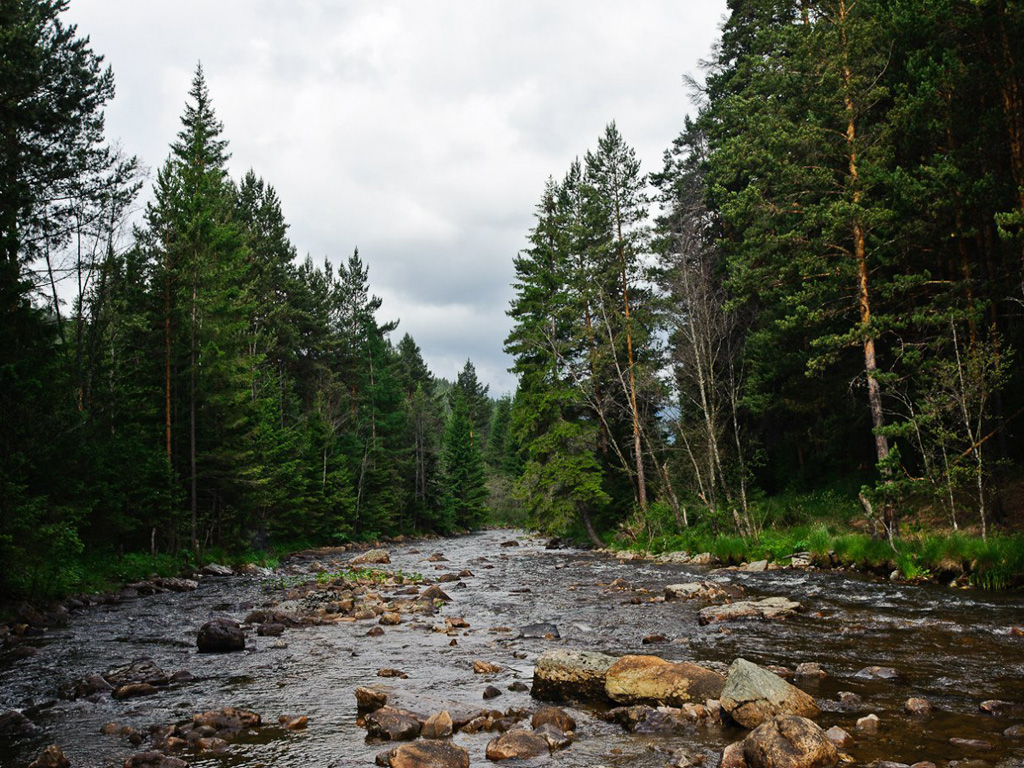 Река Тюлюк