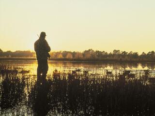 Охота и рыбалка