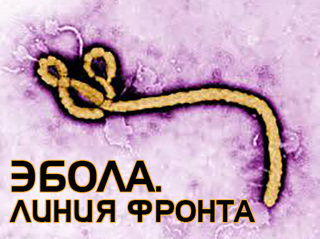 Эбола. Линия фронта