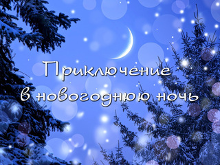 Приключение в новогоднюю ночь
