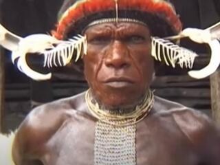 Возвращение к папуасам