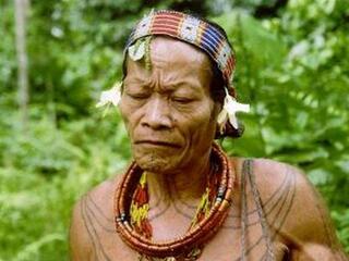 Хранители дождевого леса