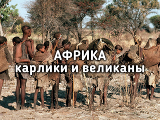 Африка: карлики и великаны