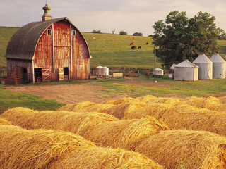 Спасение фермы